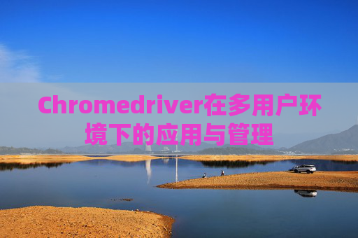 Chromedriver在多用户环境下的应用与管理